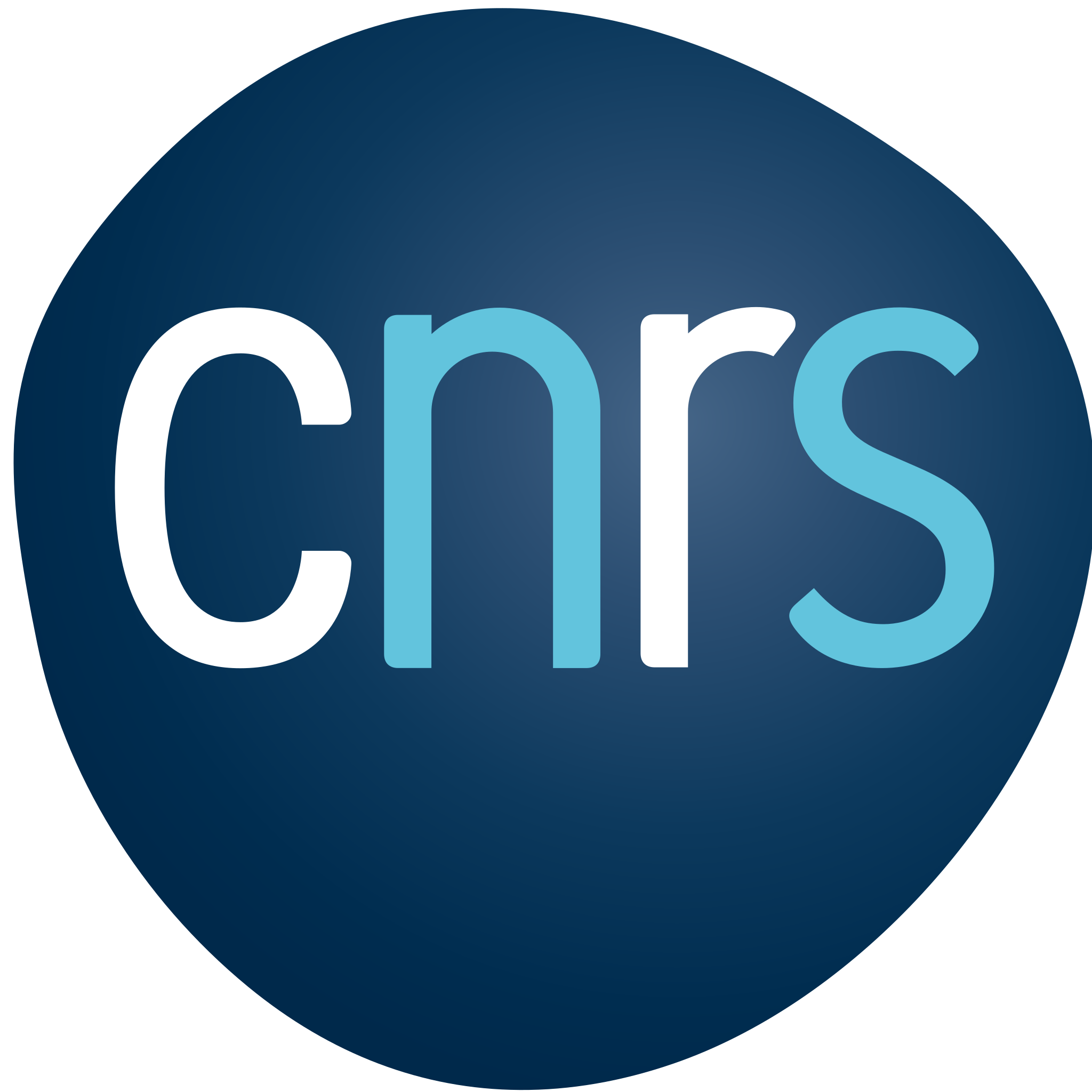 CNRS V1